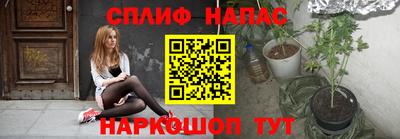 гидропоника Владимир