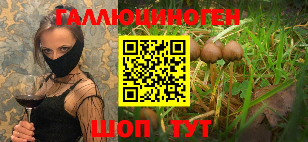 Белая Калитва  где продают   Вход с VPN  Галлюциногенные грибы Psilocybine cubensis 