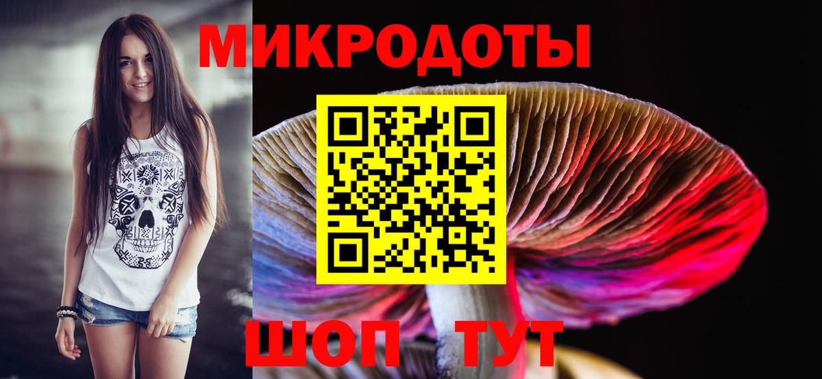 Псилоцибиновые грибы прущие грибы Белая Калитва